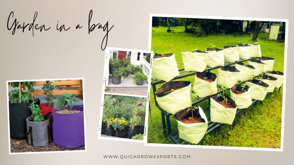 Garden grow bags- garden in a bag!