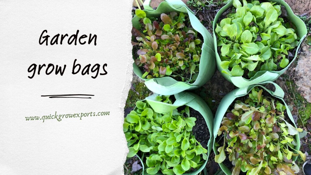 Best Grow Bags for Your Garden—2023 Reviews – Garden Betty