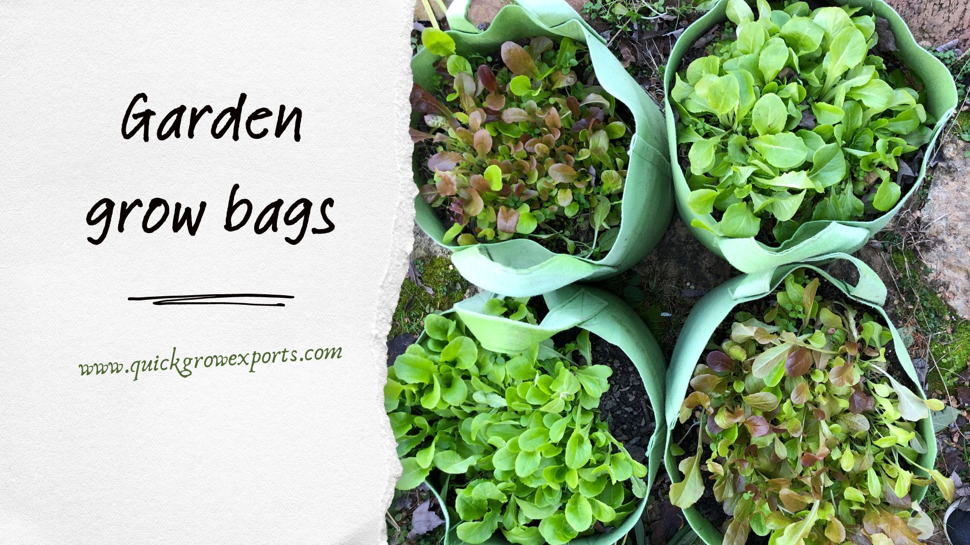 Garden grow bags garden in a bag! Quick Grow Exports